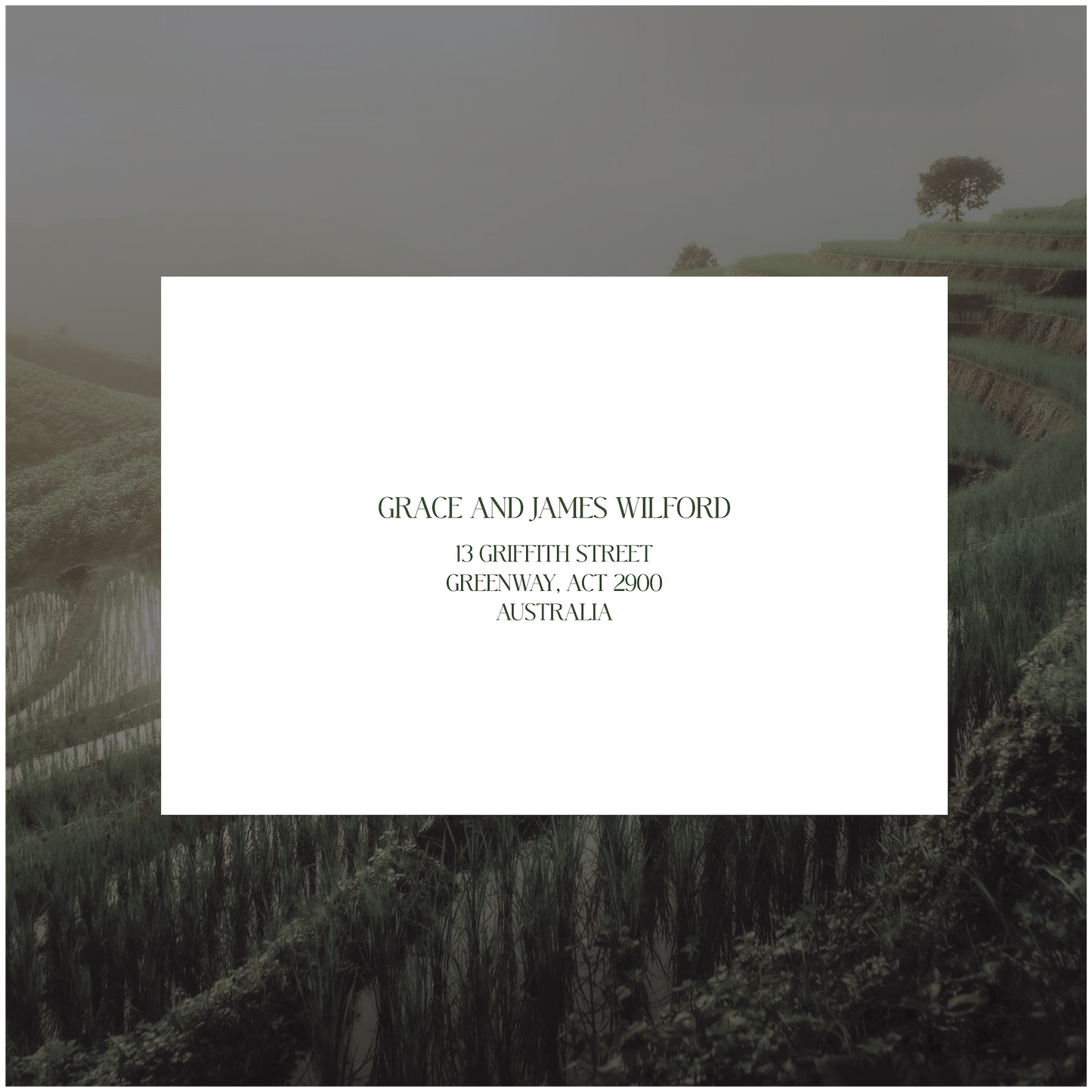 Chiang Mai Single Invitation