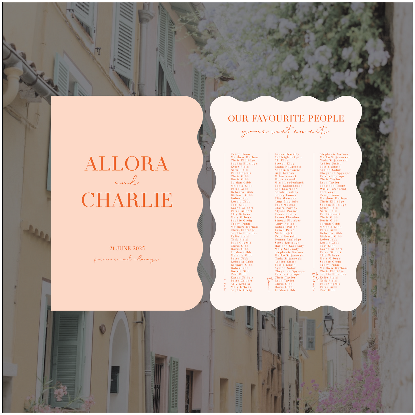 France 2 Sign Package