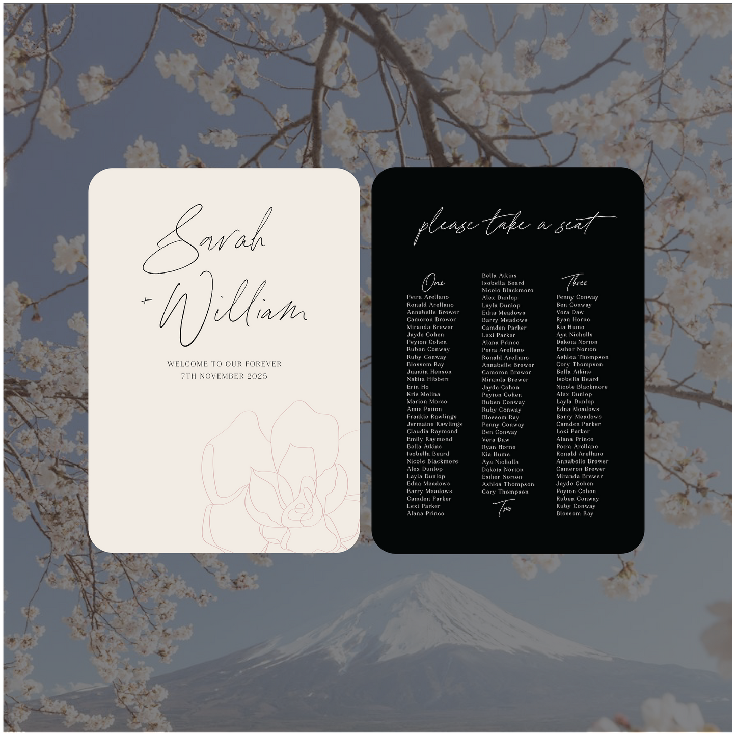 Japan 2 Sign Package