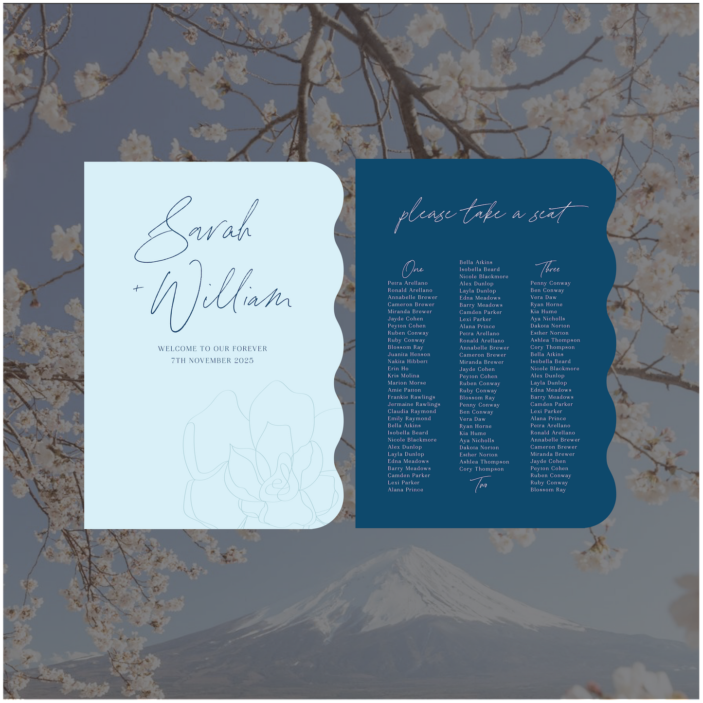 Japan 2 Sign Package