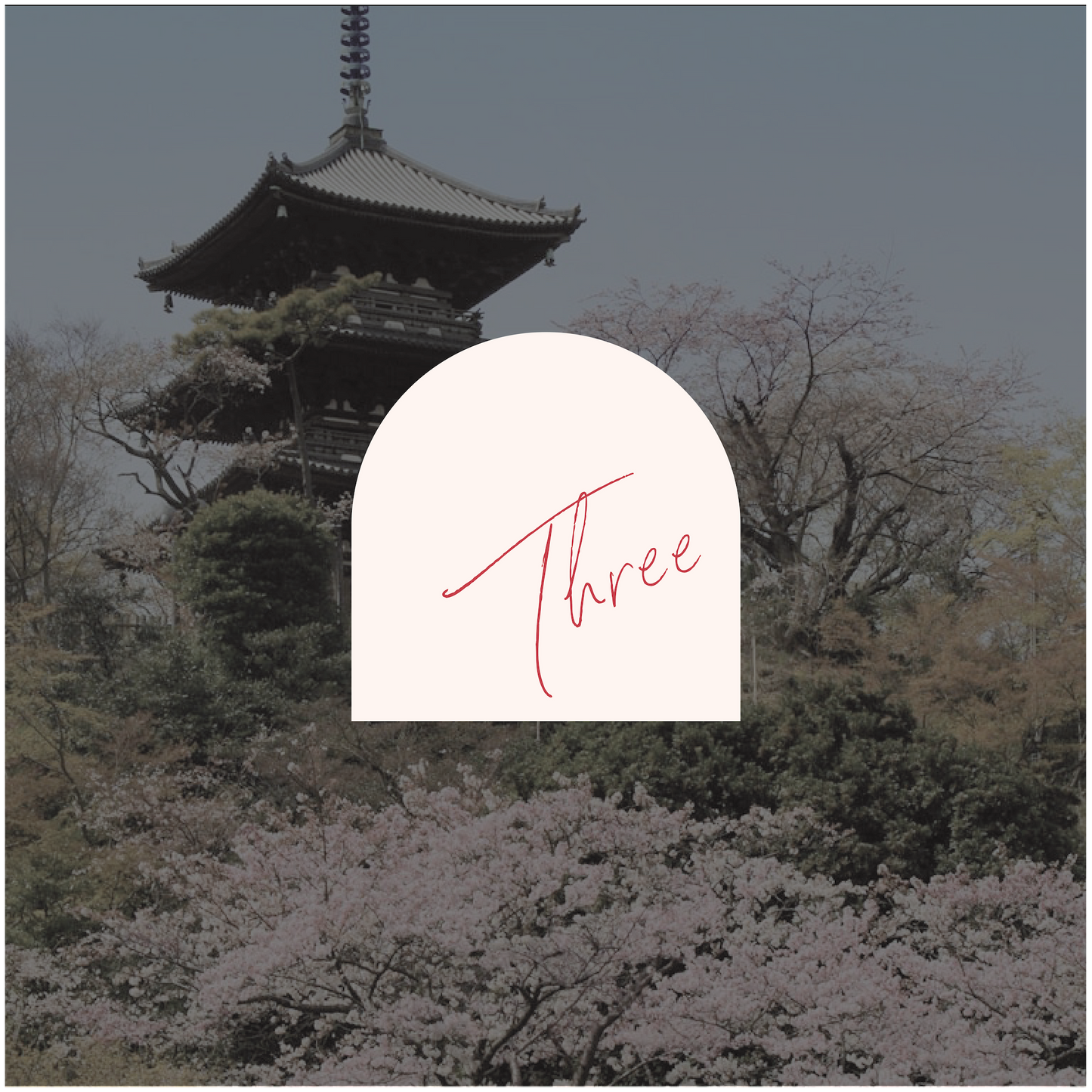 Yokohama Table Number