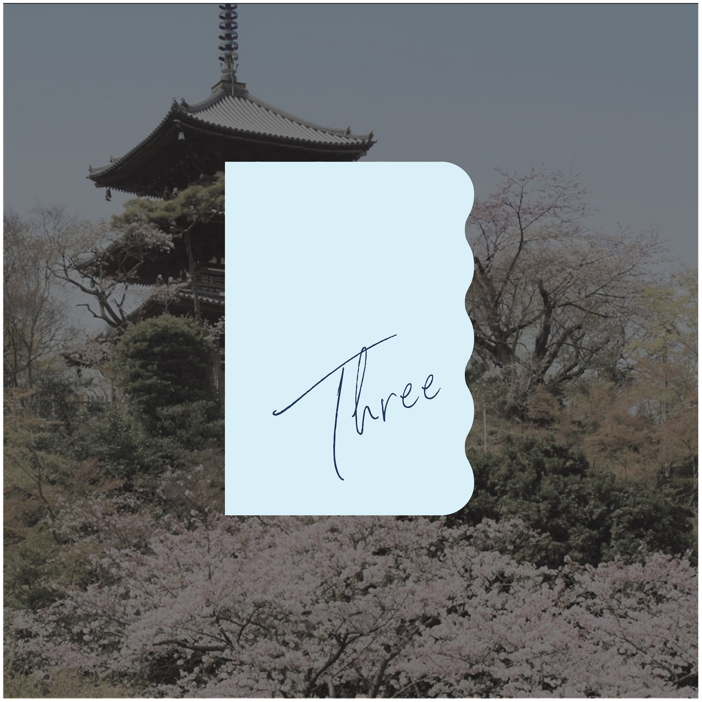 Yokohama Table Number